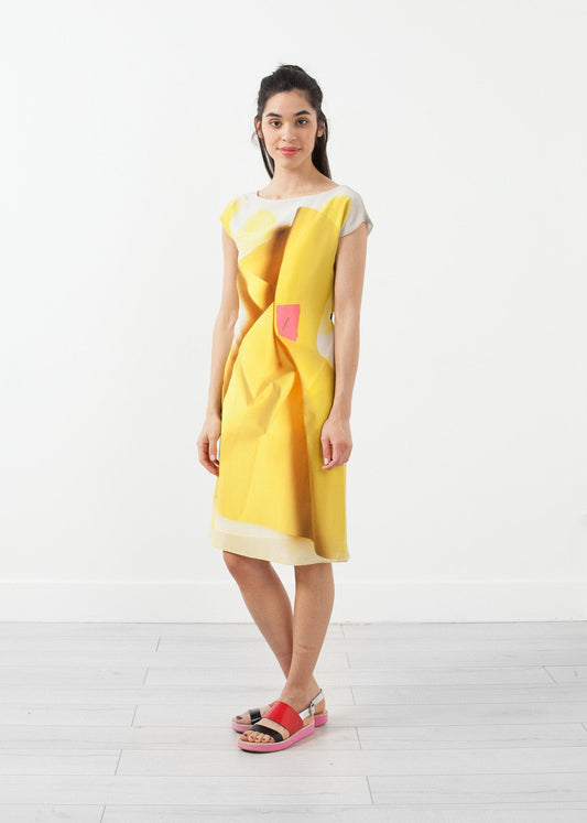 Paper Dress - formtest11
